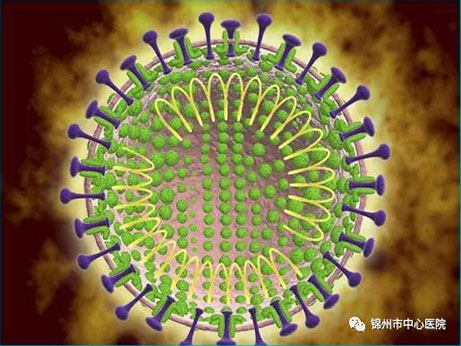 【健康科普】關(guān)于新型冠狀病毒感染肺炎，你應該知道的