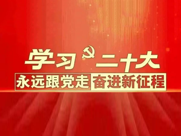 醫(yī)院黨建｜錦州市中心醫(yī)院各黨總支 黨支部深入學習貫徹黨的二十大精神